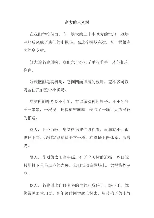 阅读题高大的皂荚树