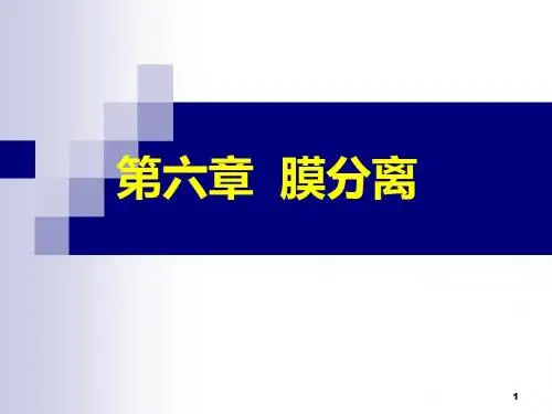 第六章膜分离过程