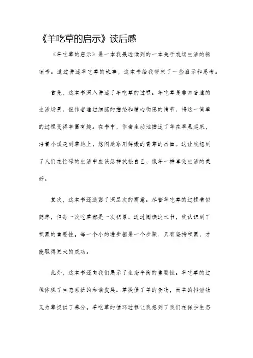 羊吃草的启示读后感