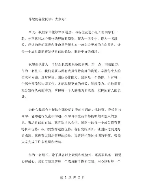 竟选小组长发言稿范文