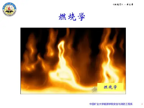 燃烧学—第3章2