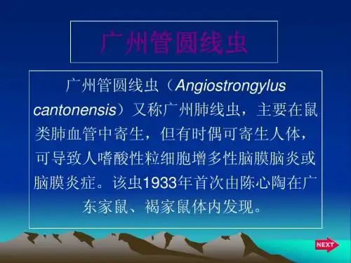 广州管圆线虫(1)