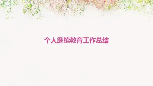 个人继续教育工作总结PPT