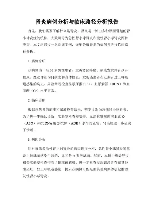 肾炎病例分析与临床路径分析报告