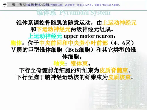 特发性面神经麻痹课件