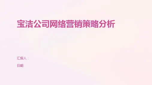 宝洁公司网络营销策略分析
