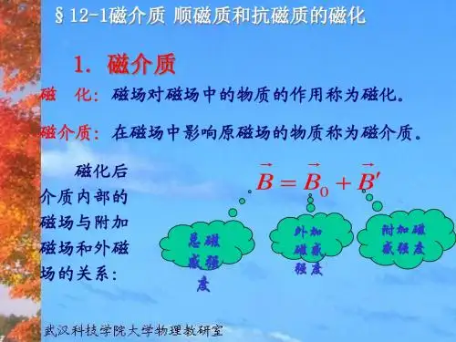 第十二章 磁介质