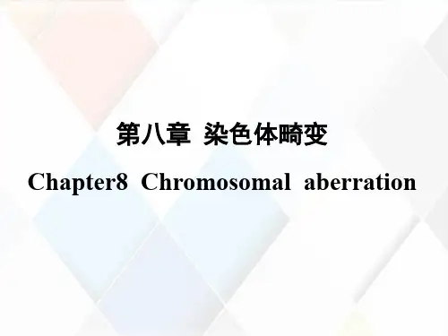 染色体畸变原因和过程