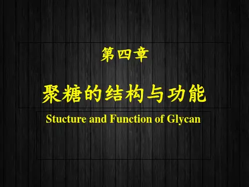 《生物化学与分子生物学》第四章聚糖的结构与功能 ppt课件