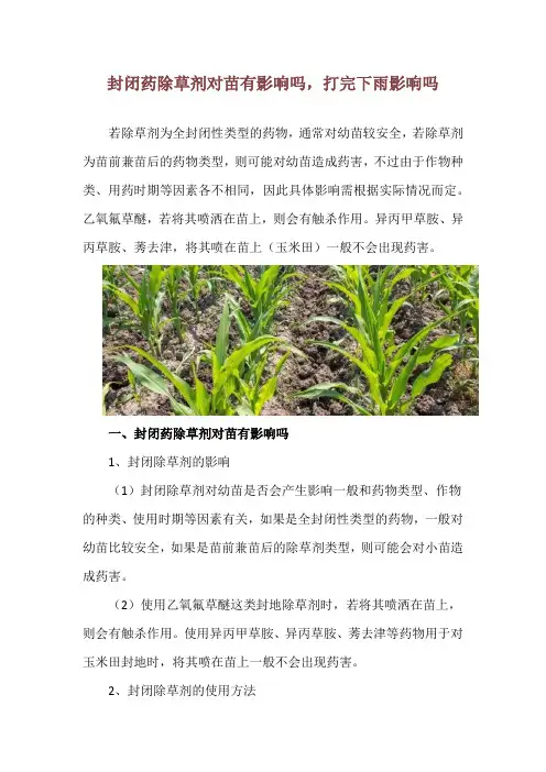 封闭药除草剂对苗有影响吗,打完下雨影响吗