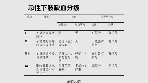 下肢缺血分级PPT课件
