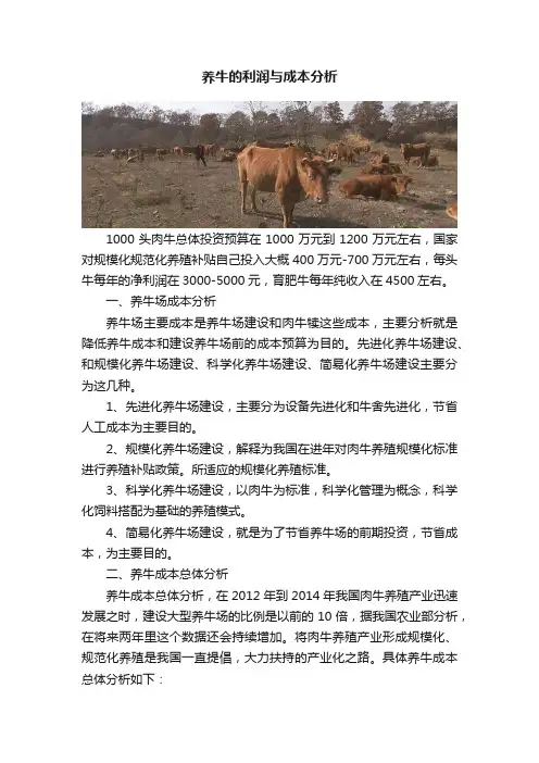 养牛的利润与成本分析