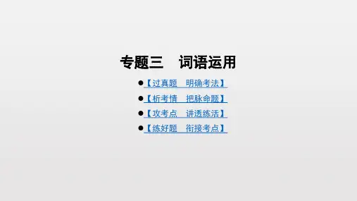 专题三词语运用广东中考语文总复习课件(共37张PPT)