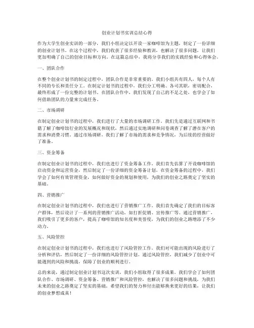 创业计划书实训总结心得