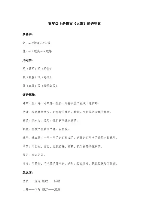五年级上册语文《太阳》词语积累