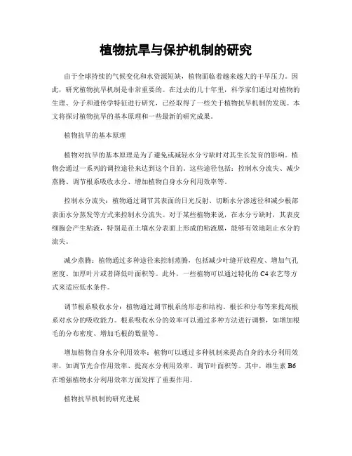 植物抗旱与保护机制的研究