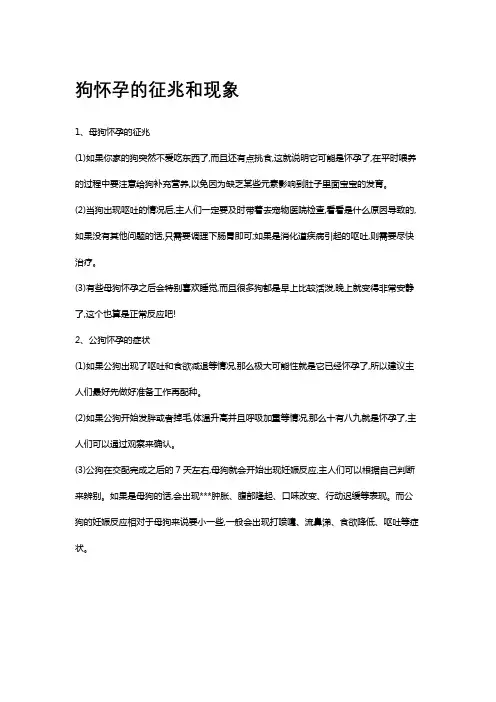 狗怀孕的征兆和现象