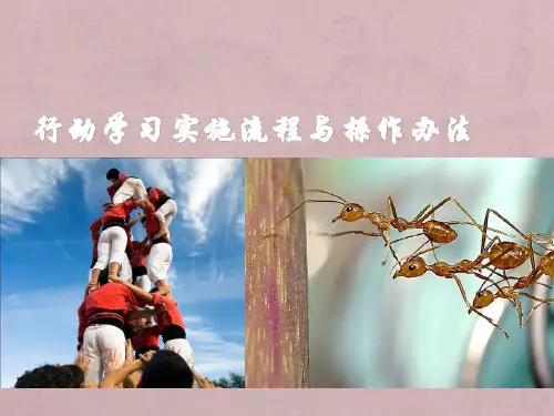 行动学习工具与方法(最专业+最全面+实战)