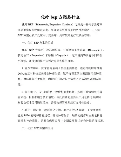 化疗bep方案是什么