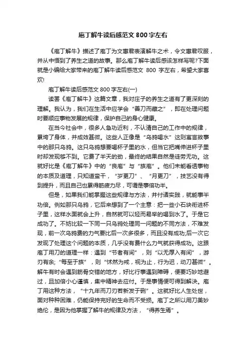 庖丁解牛读后感范文800字左右