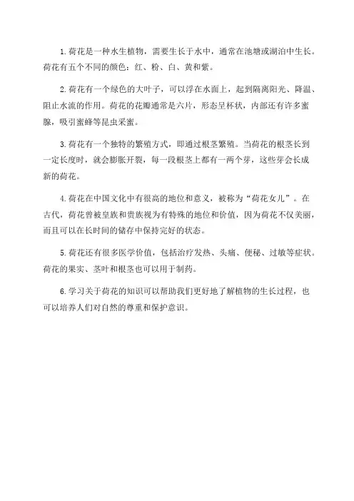三年级下册第三课荷花课堂笔记