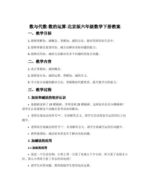 数与代数-数的运算-北京版六年级数学下册教案