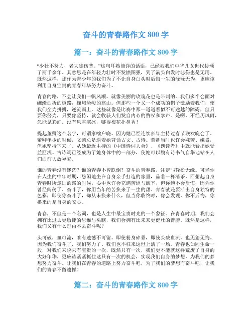奋斗的青春路作文800字