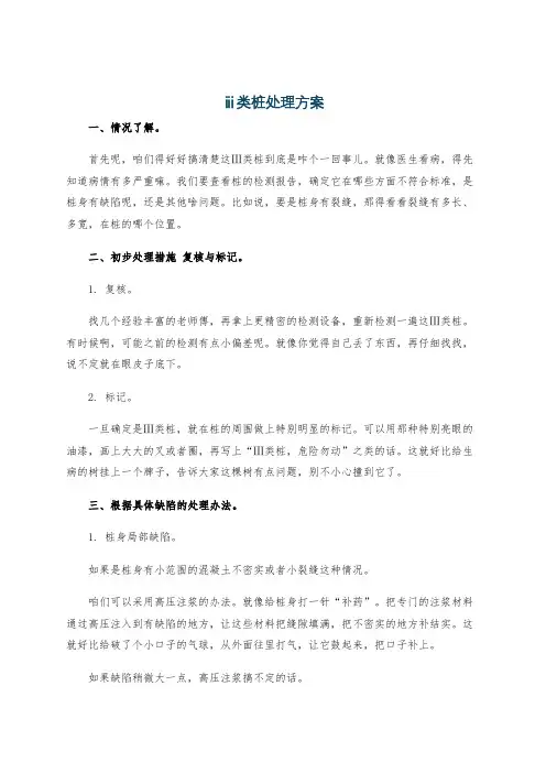 ⅲ类桩处理方案