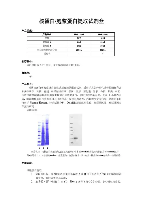 核-胞浆蛋白提取方法