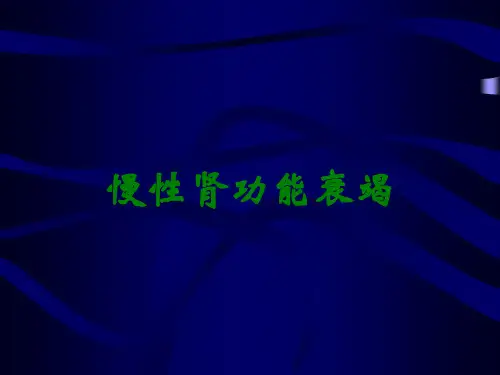 慢性肾功能衰竭
