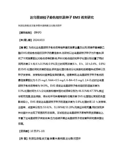 达乌里胡枝子愈伤组织及种子EMS诱变研究