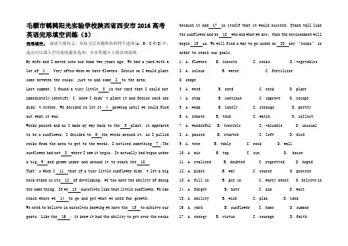 高考英语完形填空训练(3)高三全册英语试题