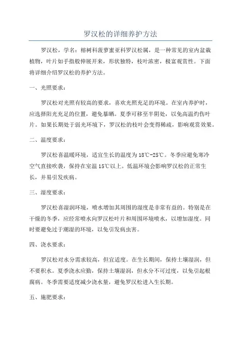 罗汉松的详细养护方法