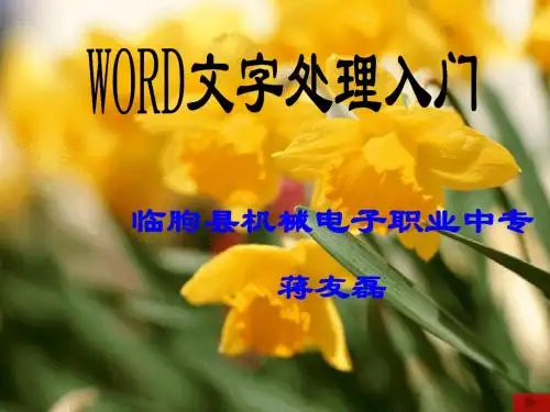 WORD文字处理入门