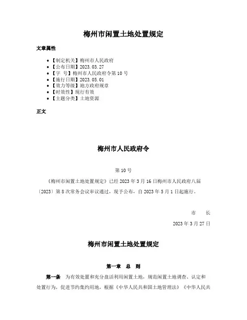 梅州市闲置土地处置规定