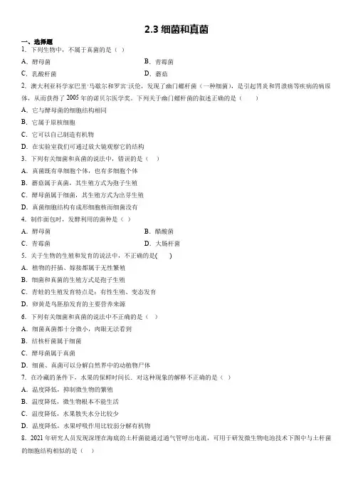 细菌和真菌练习华东师大版科学七年级上册