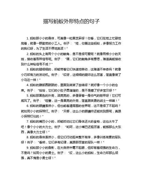 描写蚂蚁外形特点的句子