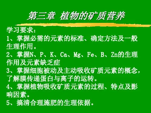 第三章―矿质元素PPT课件