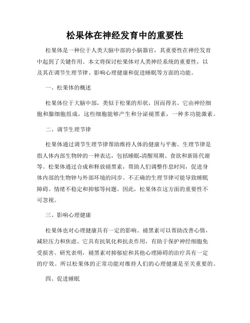 松果体在神经发育中的重要性