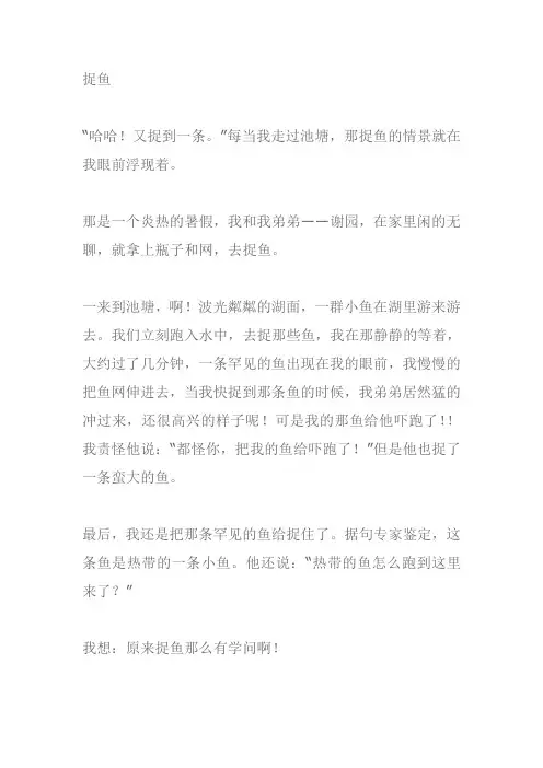捉鱼作文300字
