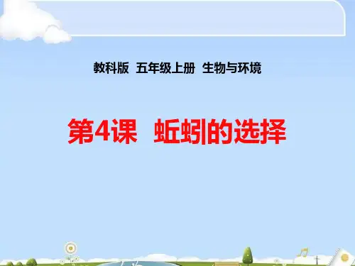 《蚯蚓的选择》生物与环境PPT下载