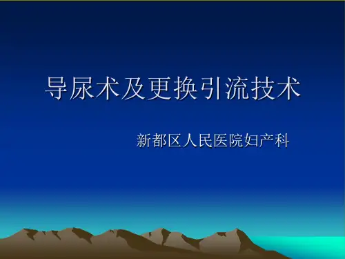导尿术