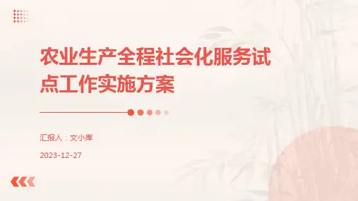 农业生产全程社会化服务试点工作实施方案