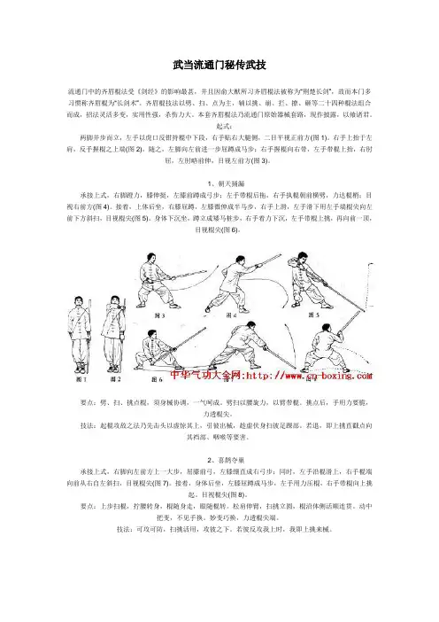 武当流通门秘传武技