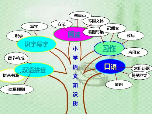 小学语文知识结构框架