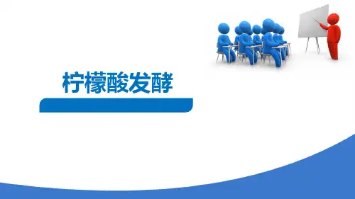 发酵工程应用实例 柠檬酸发酵