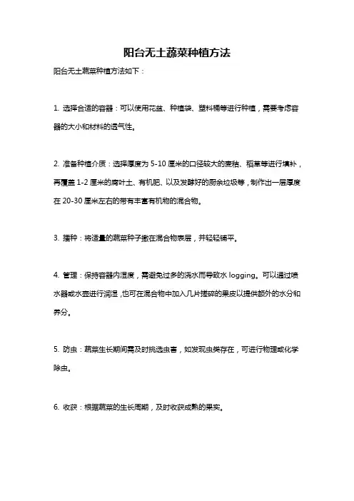 阳台无土蔬菜种植方法