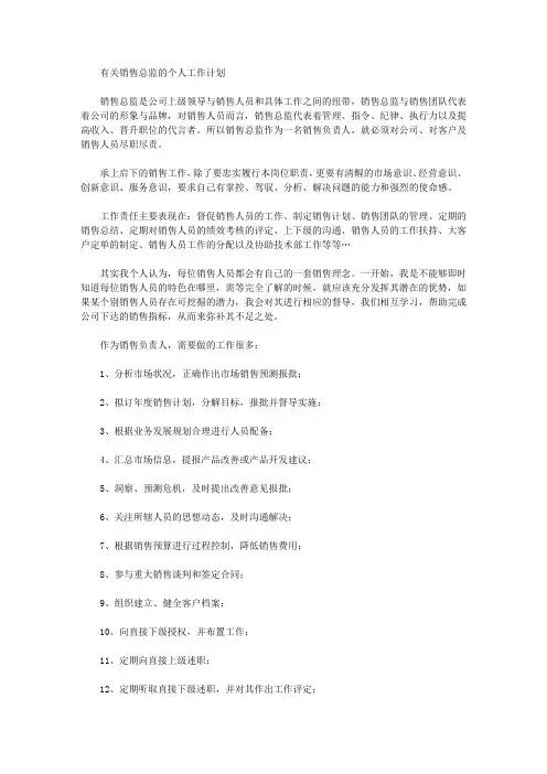 2020年销售总监的个人工作计划【精品】
