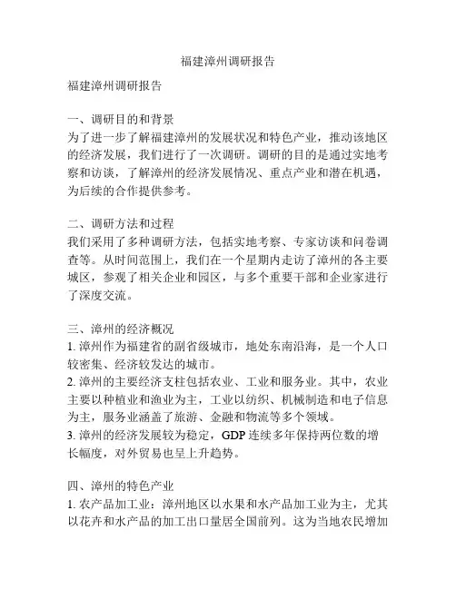 福建漳州调研报告