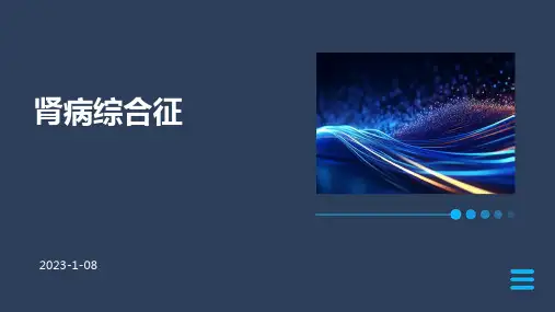 肾病综合征ppt课件